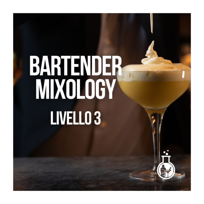 Bartender Mixology Livello 3